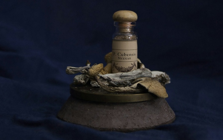 Plisocybin Microdosing Integrative Therapy